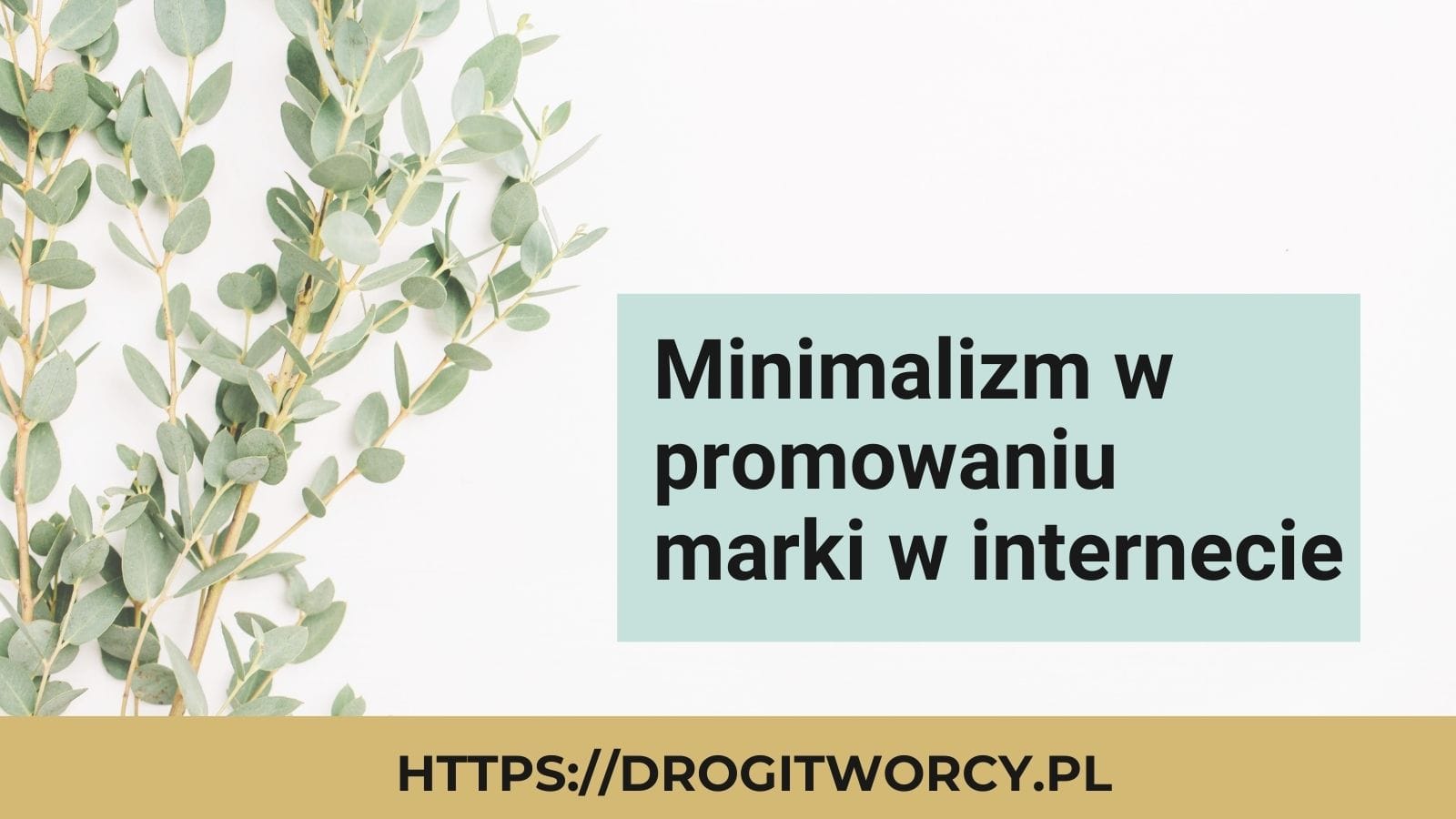 You are currently viewing Czy w internecie trzeba być wszędzie?