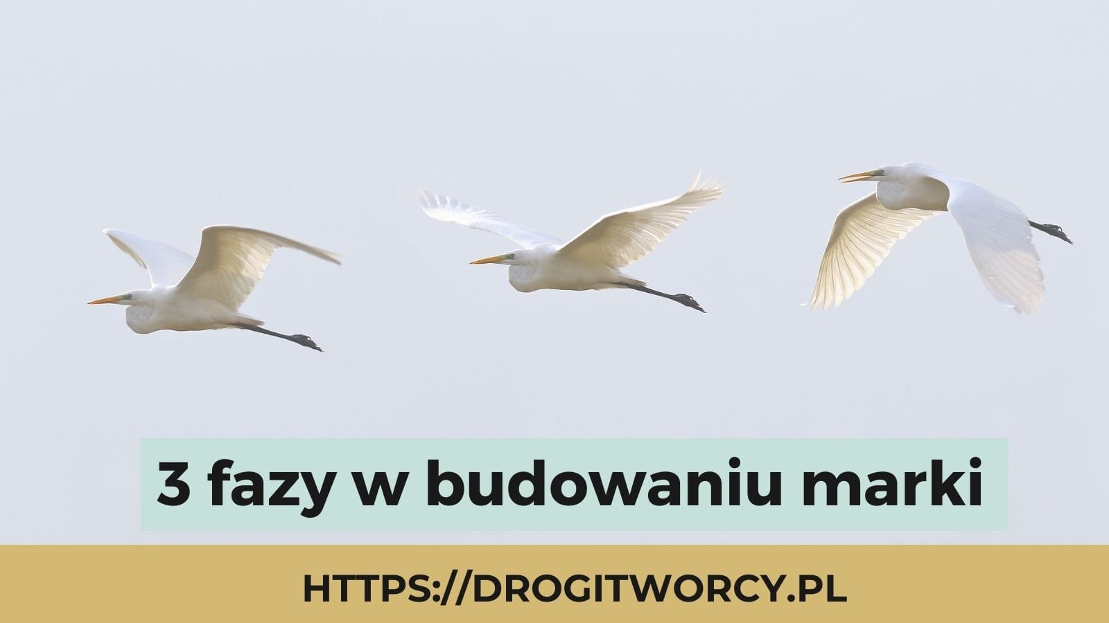 You are currently viewing Budowanie marki – 3 fazy